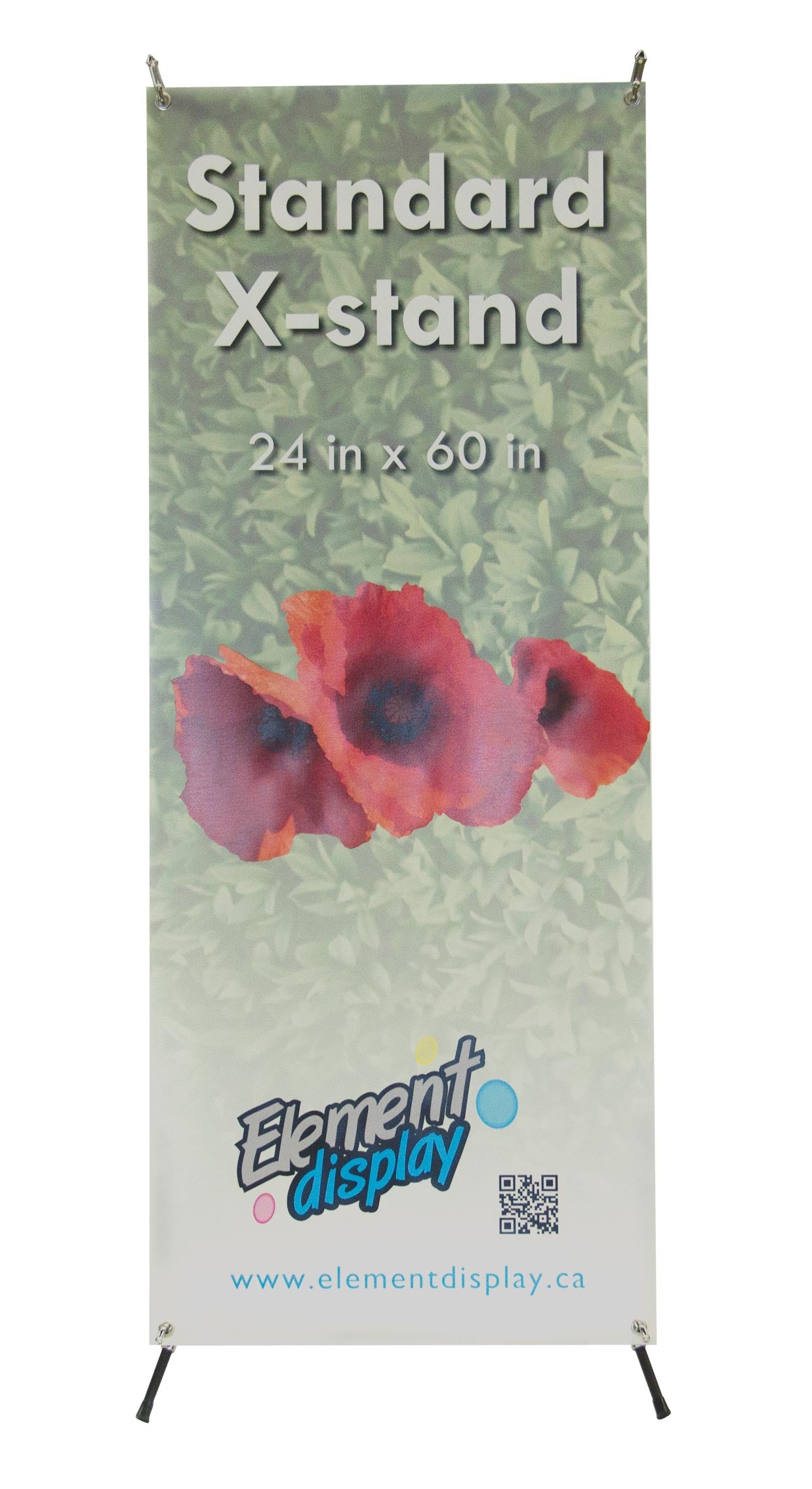 Economy Banner Stand with Graphic - Element Display